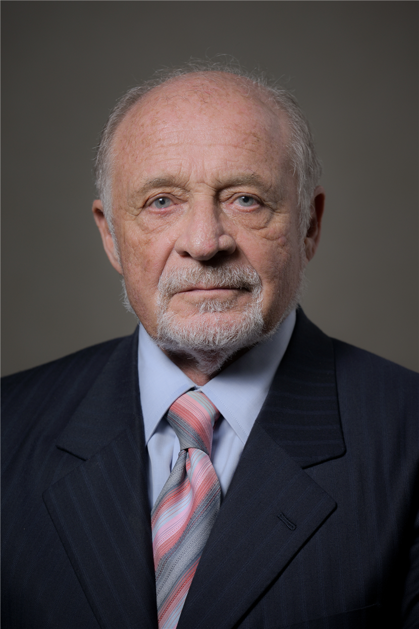 Dario Birolini