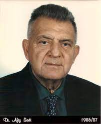 Afiz Sadi